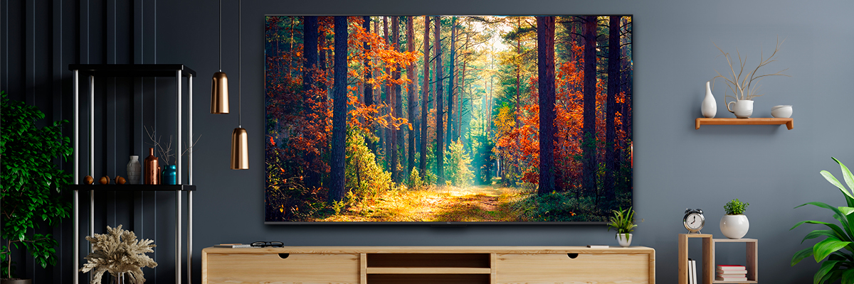 ¿Cómo encender el televisor sin control remoto?