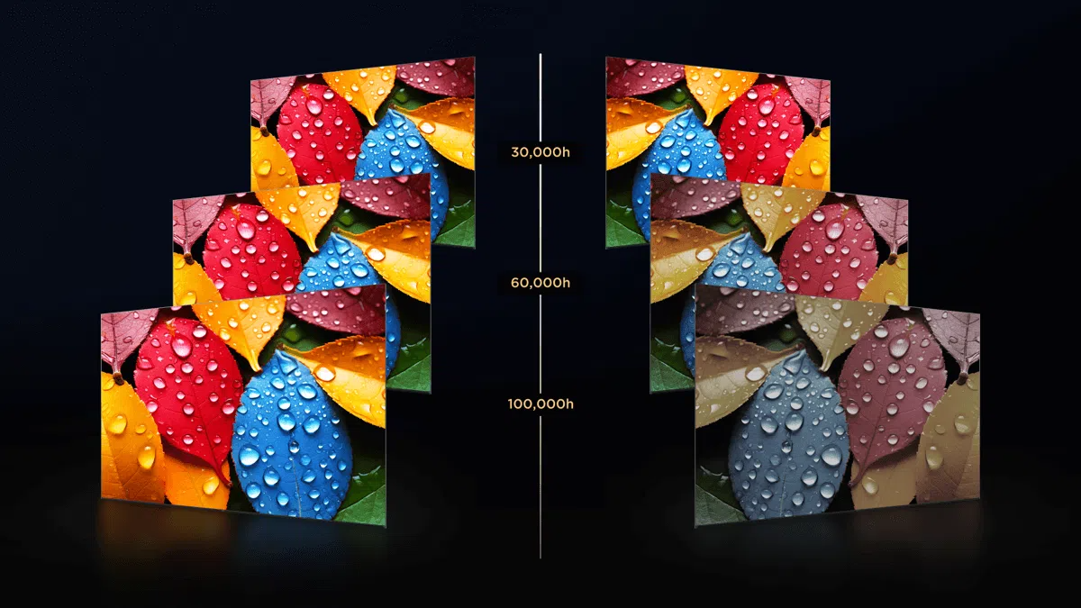 Q551G TV Emisión de luz efectiva durante 100.000 horas
