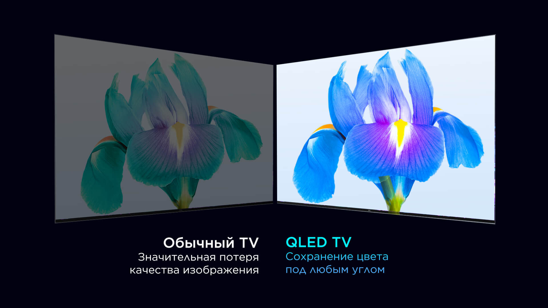 T7B TV