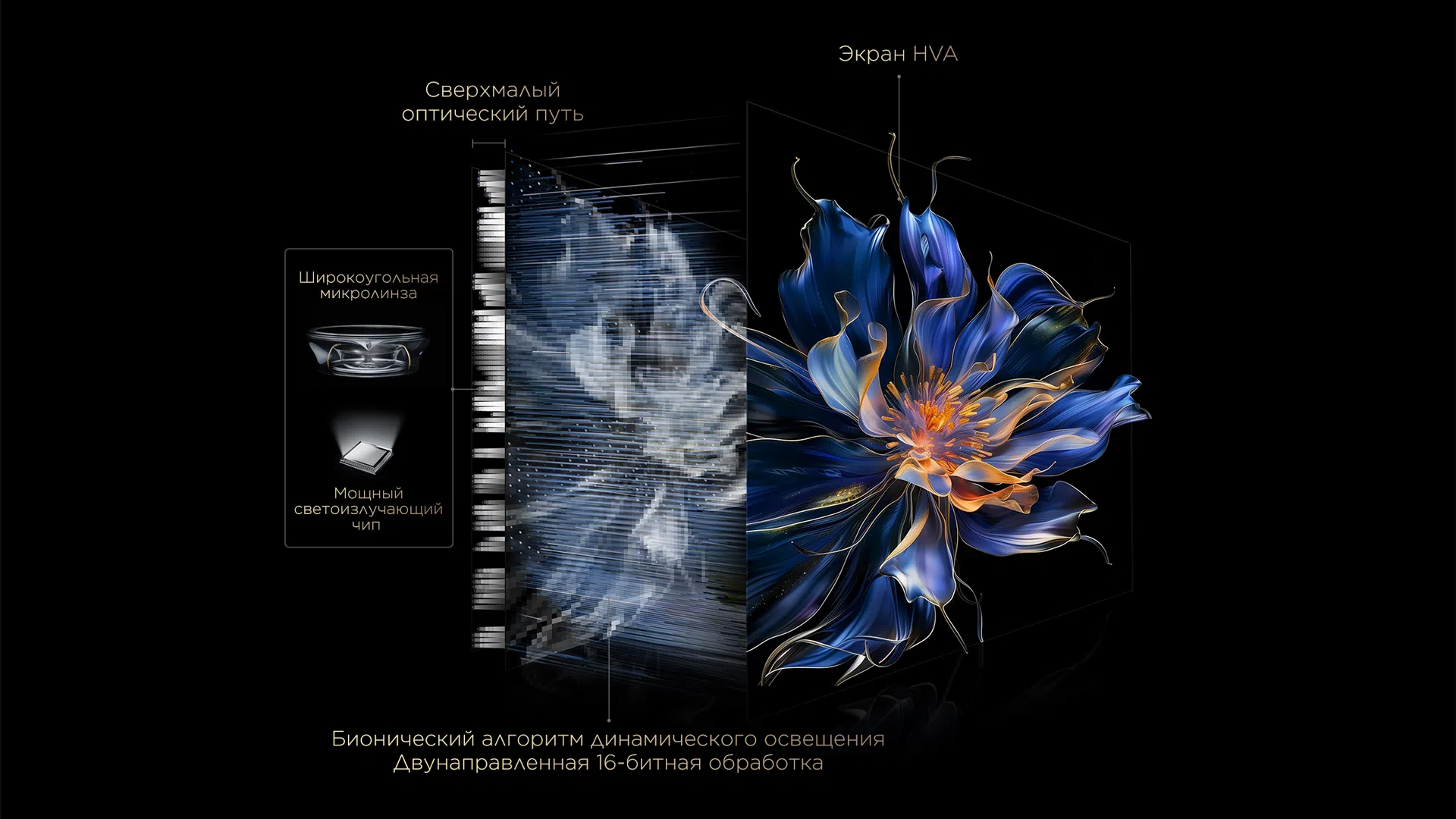 TCL All-domain Halo Control Technology