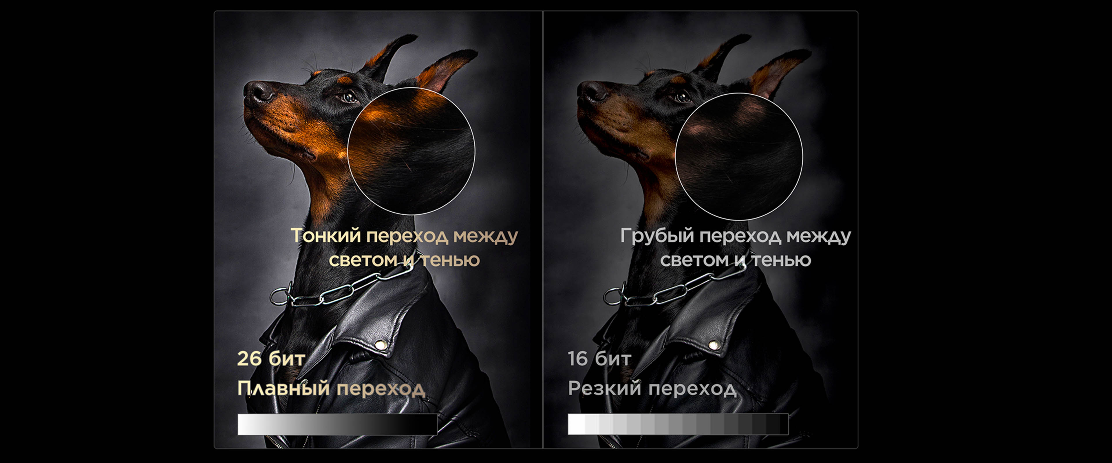 X11L 26bit Dynamic Dimming