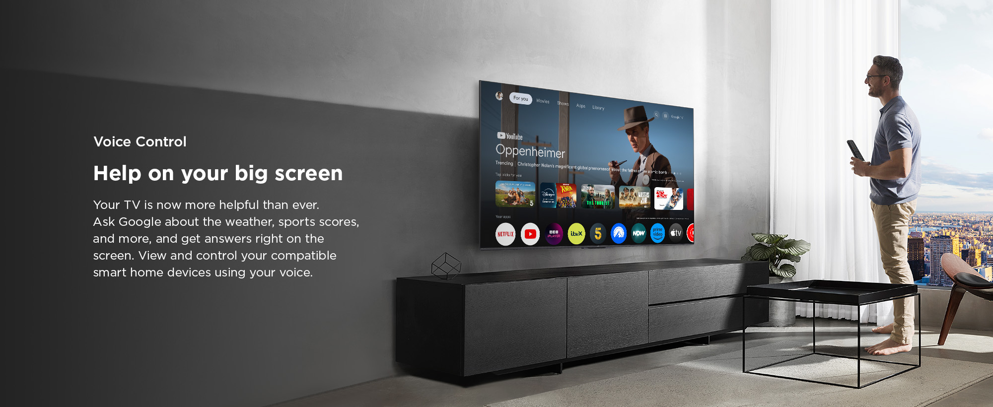 5 2 v6c pc voice control