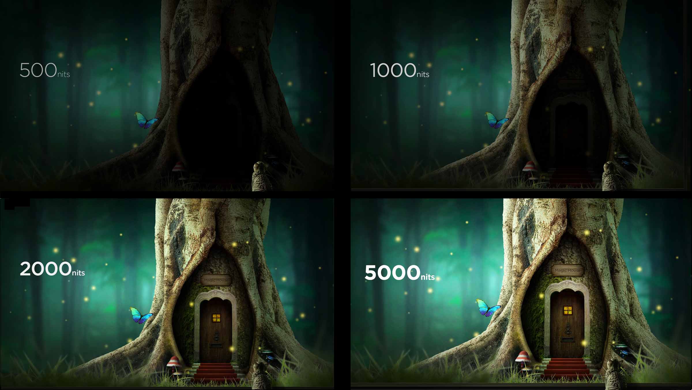 Mini LED TV offers rich light and dark details