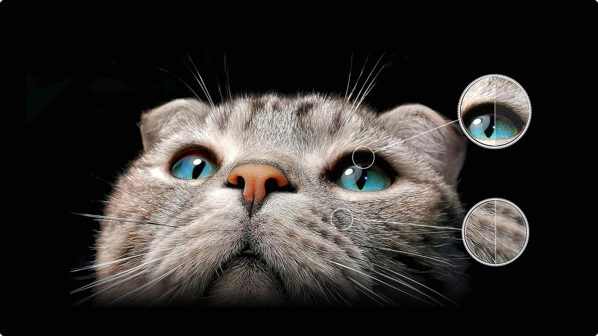 iFFALCON U65 Powerful AI data models