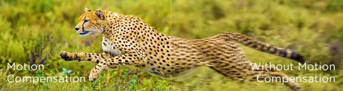 Motion Compensation vs without Compensation