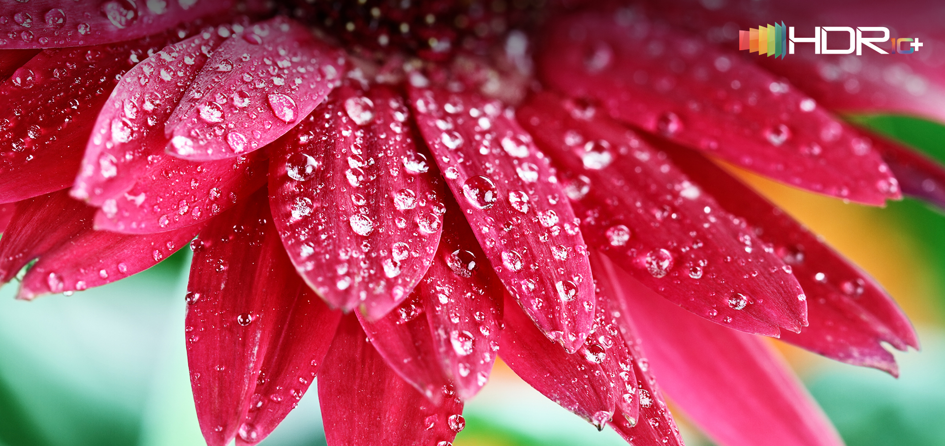 HDR 10+