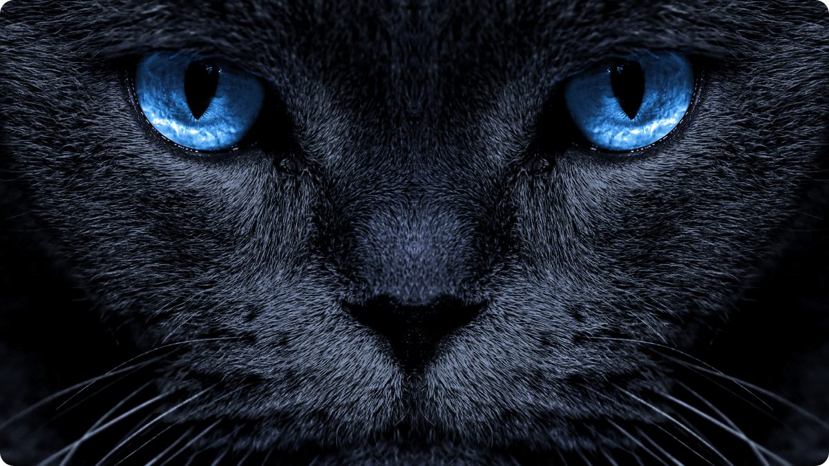 U64 4K UHD Google TV Intelligent Clarity Enhancement