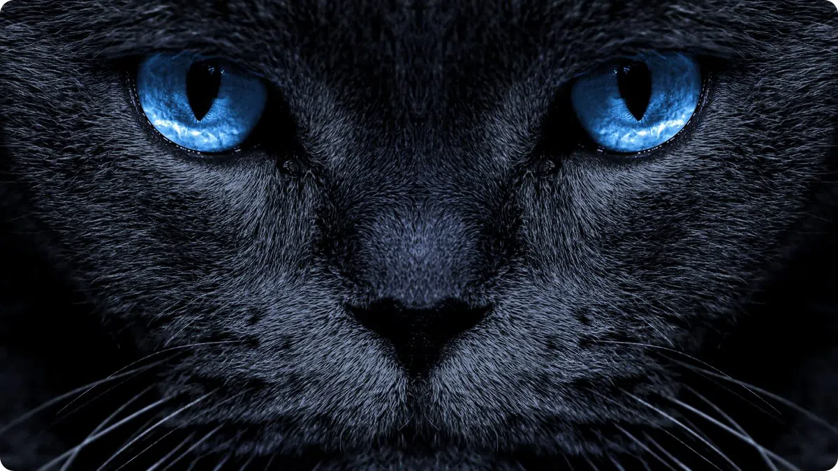 Miglioramento intelligente della chiarezza di Google TV U64 4K UHD