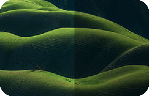 Natural Light Optimization