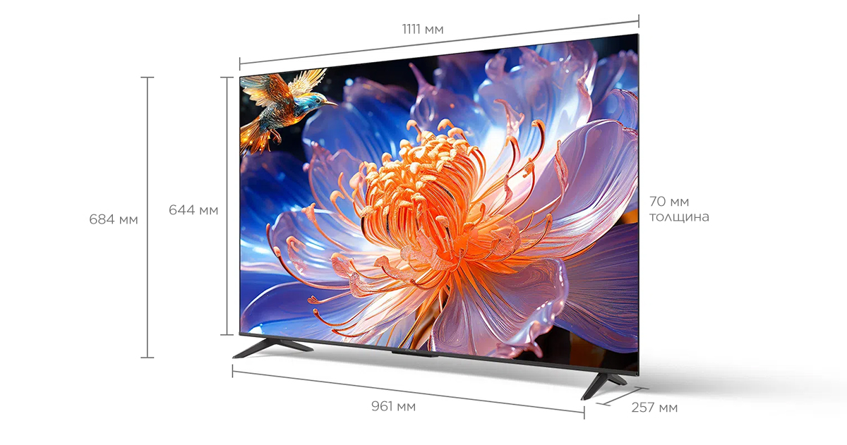 U64 4K UHD Google TV Screen Size 50